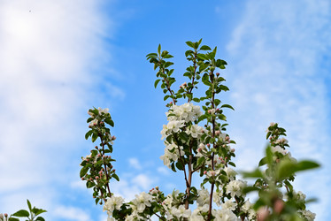 Similar image 21357570