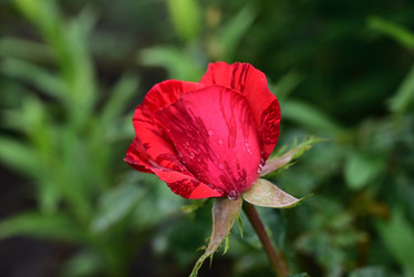 Similar image 21357589