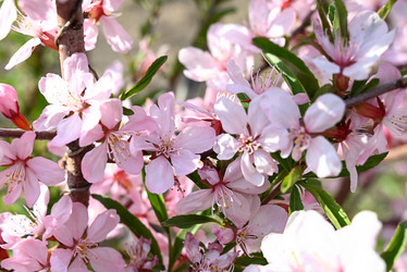 Similar image 21358096