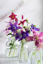 Similar image 21358230