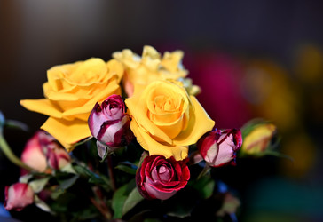 Similar image 21358288