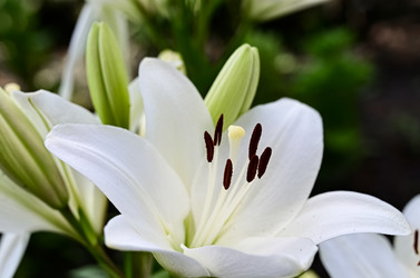 Similar image 21358291