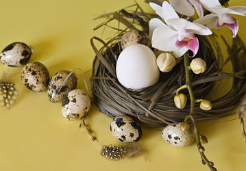 Similar image 21358292