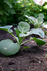 Similar image 21358293