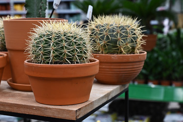 Similar image 21358310