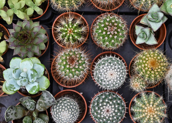 Similar image 21358313