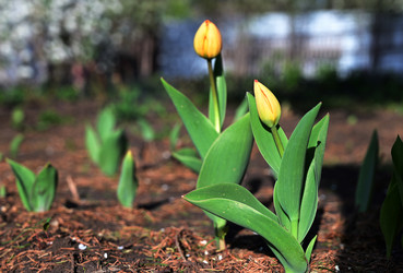 Similar image 21358318