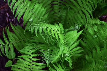 Similar image 21358320