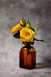 Similar image 21358322
