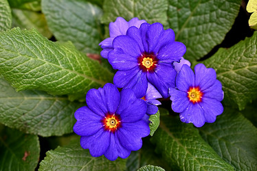 Similar image 21358323