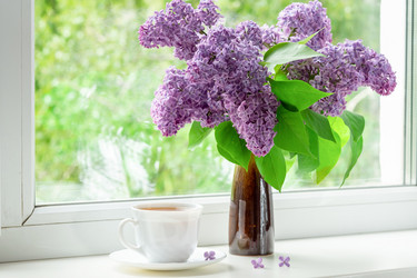 Similar image 21353873