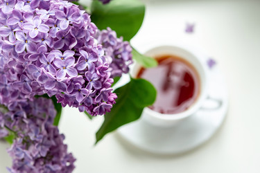 Similar image 21353874