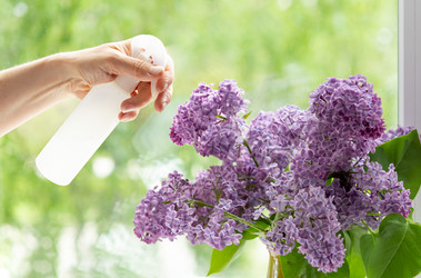 Similar image 21353875