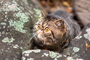 Similar image 21353876