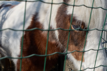 Similar image 21354320