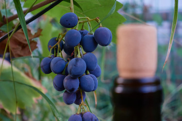 Similar image 21354322