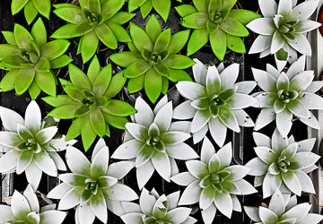 Similar image 21356991