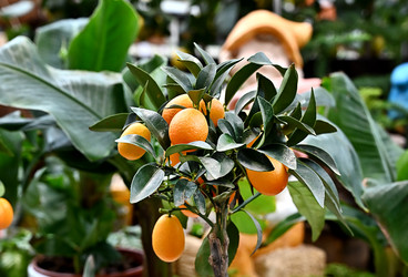 Similar image 21356994