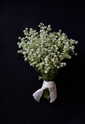 Similar image 21356999