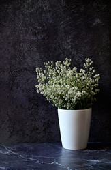 Similar image 21357366