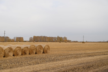 Similar image 21357368