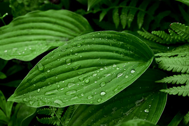 Similar image 21357369