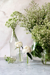 Similar image 21357370