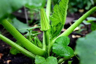 Similar image 21357373