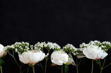 Similar image 21357388