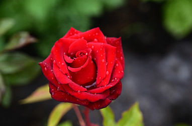 Similar image 21357407