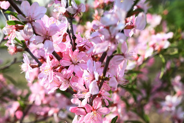 Similar image 21357554