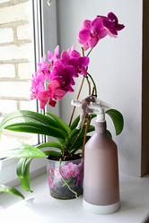 Similar image 21357574