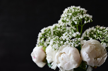 Similar image 21357575