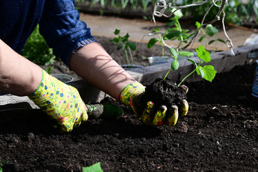 Similar image 21357576