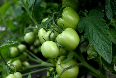 Similar image 21357578