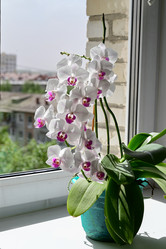 Similar image 21357598