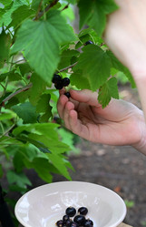 Similar image 21358325