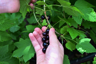 Similar image 21358327