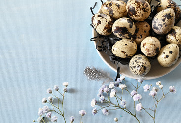 Similar image 21358330