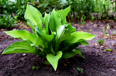 Similar image 21358338