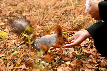 Similar image 21358341