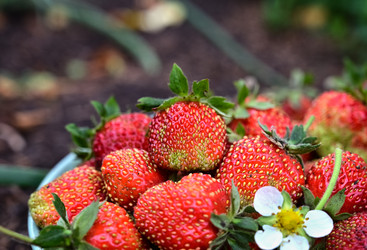 Similar image 21358344