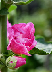 Similar image 21358347