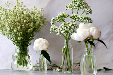 Similar image 21358356