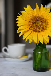 Similar image 21358452