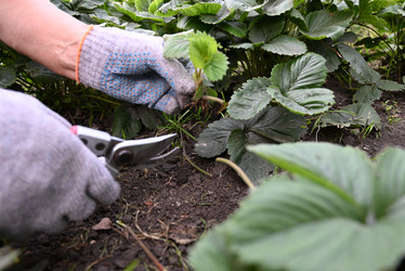 Similar image 21358454