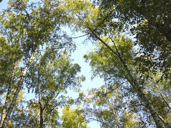 Similar image 21353881