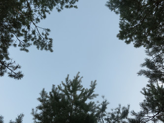 Similar image 21353882