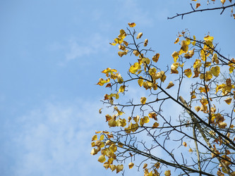 Similar image 21353883