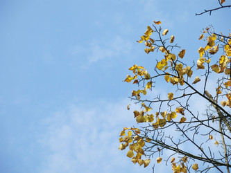 Similar image 21353884